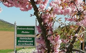 Ferienwohnung Pichler